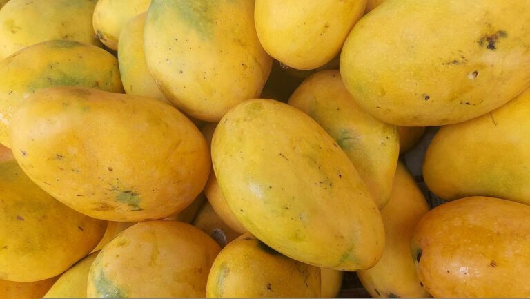 Mango Ataulfo Origen E Historia De Esta Fruta Mexicana