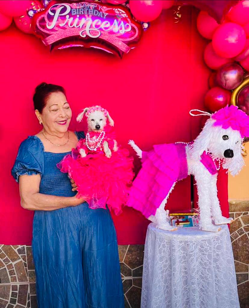 Fiesta de perrita en Los Mochis se hace viral