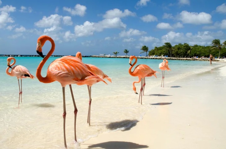 ¿Cuáles son las mejores playas del Caribe?