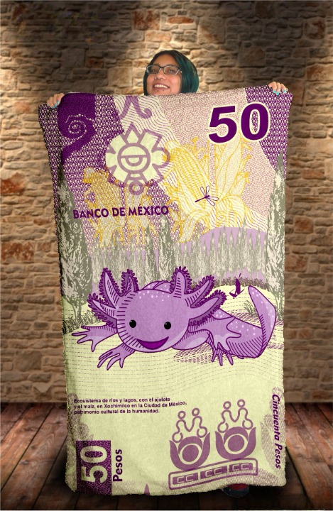 Desde el anuncio de su circulación, el billete de 50 pesos con la imagen del ajolote ha llamado la atención.