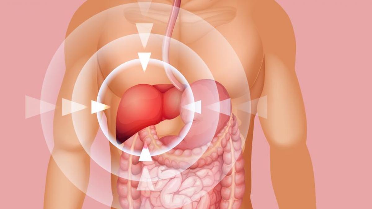 ¿Qué es el colesterol bueno?