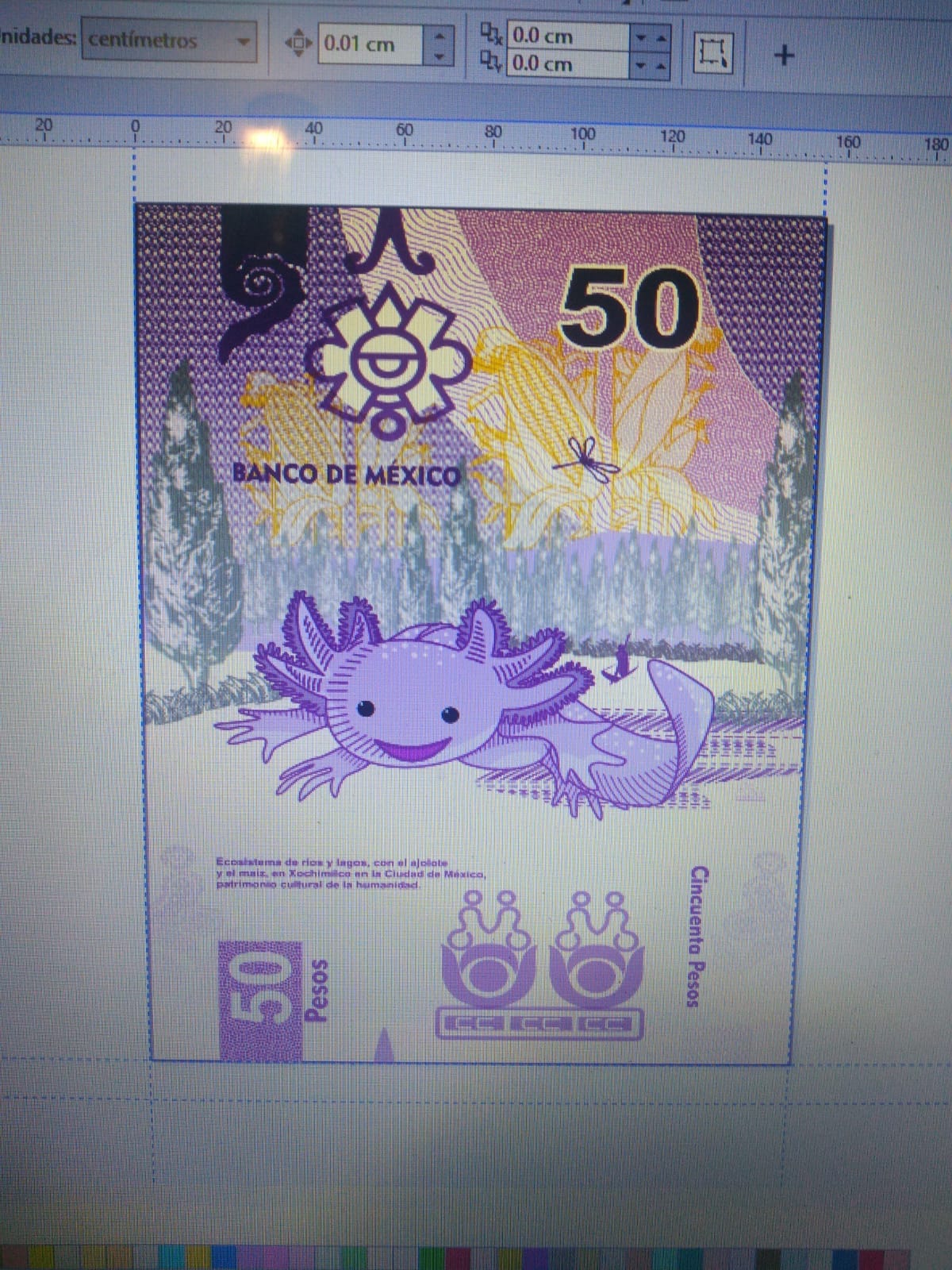 Desde el anuncio de su circulación, el billete de 50 pesos con la imagen del ajolote ha llamado la atención.