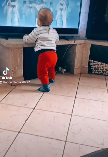 Bebé baila canciones de Daddy Yankee y se hace viral |VIDEO