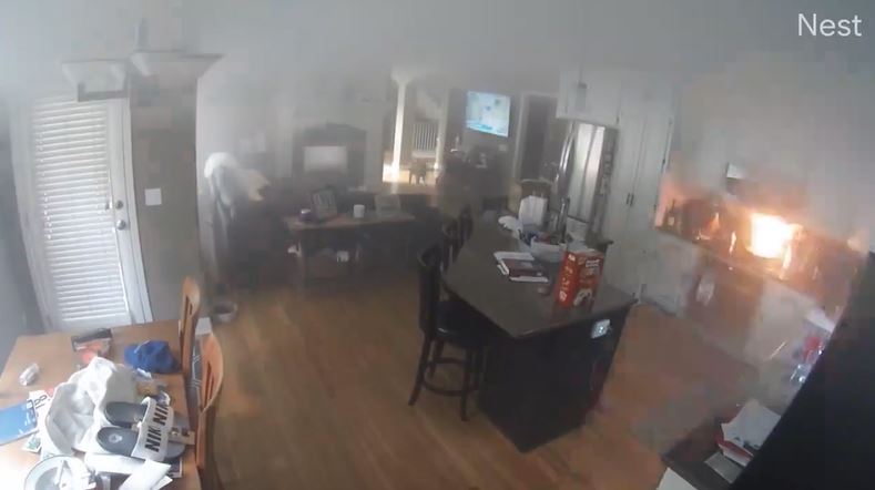Video de perrito que incendió su casa se hace viral