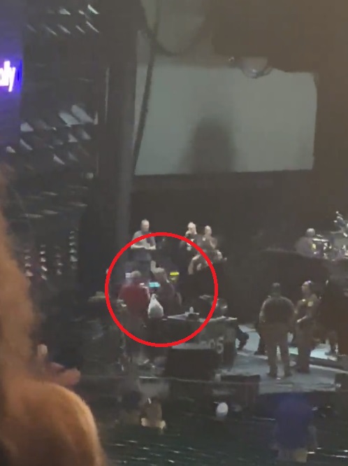 Carlos Santana colapsa durante concierto