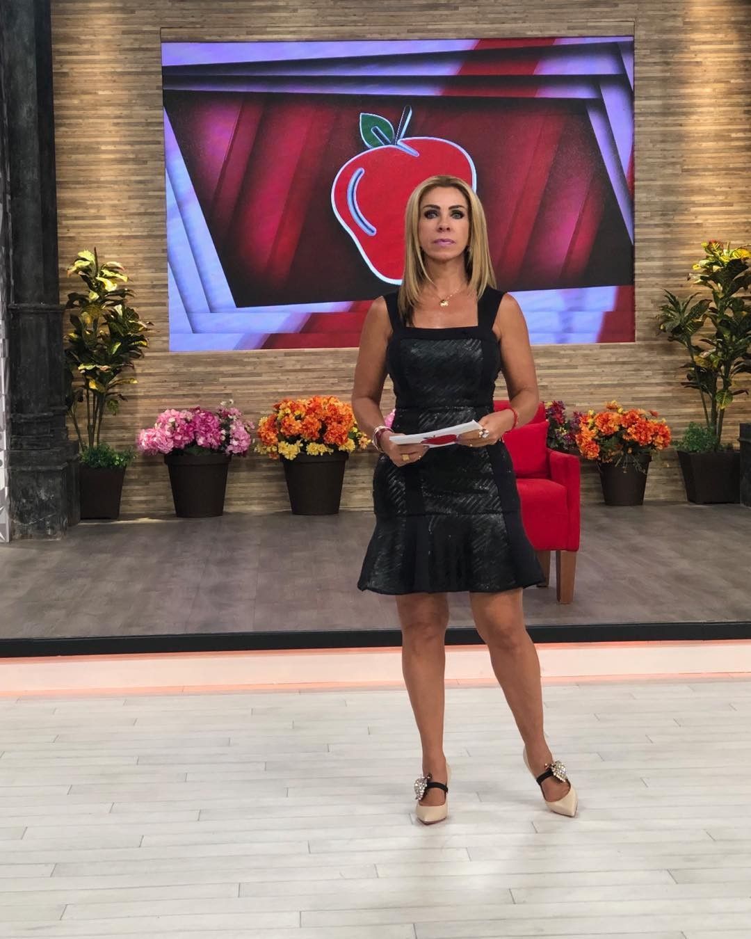 El éxito de Rocío Sánchez Azuara en televisión