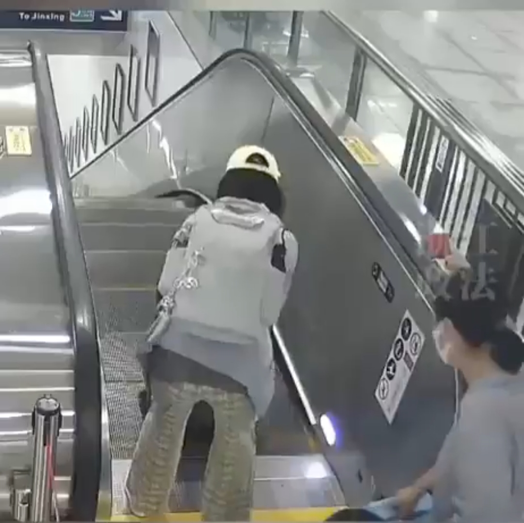 Avienta maleta por las escaleras 