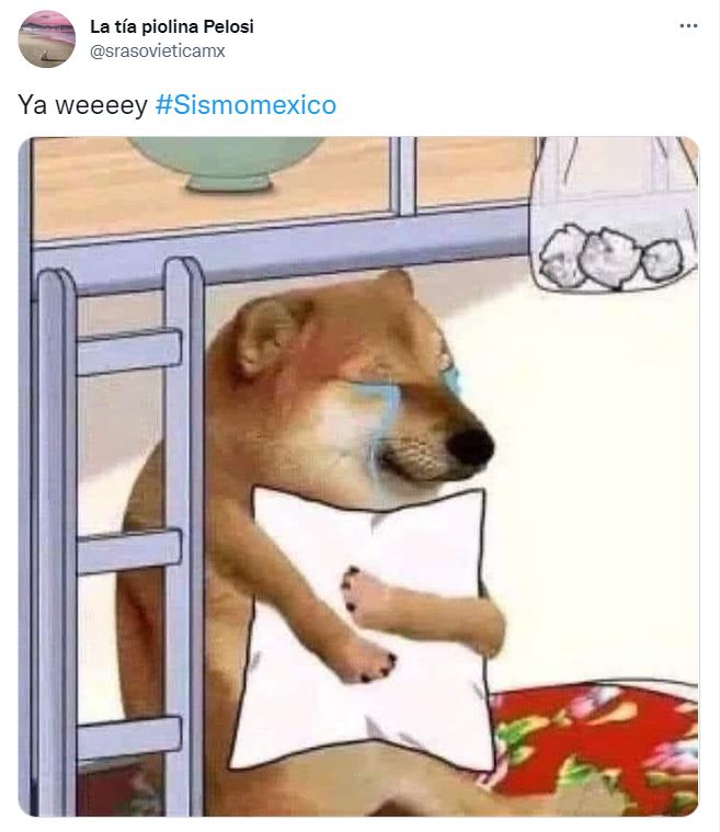 Sismo de 6.9 en México. Los mejores memes en redes