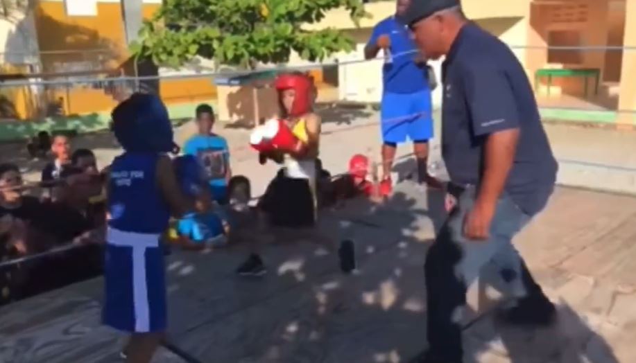 Pelea de box de niños termina por ring roto |VIDEO