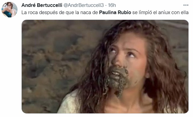 Memes de Paulina Rubio haciendo del baño