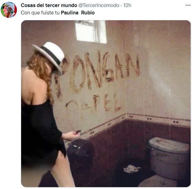Memes de Paulina Rubio haciendo del baño