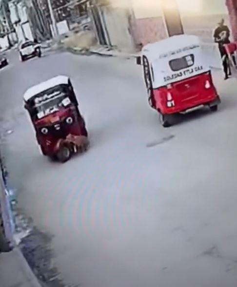 Perro 'atropella' a mototaxi en Oaxaca; video se hace viral