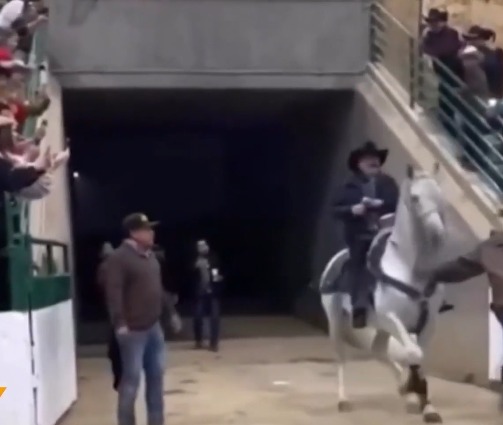 Chapo de Sinaloa maltrata a caballo