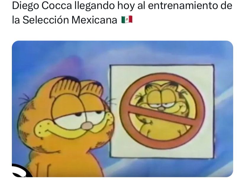 meme Garfield Diego Cocca