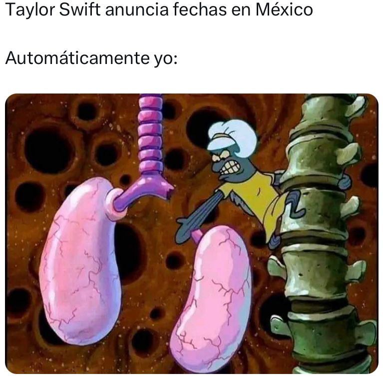 Los mejores Memes de Taylor Swift en México