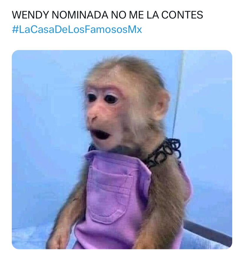 Wendy Guevara sobre memes