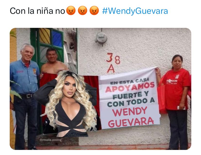Wendy Guevara meme