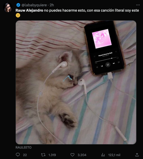 gatito trsite por canción de Rosalía