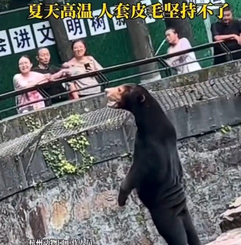 zoológico chino engaño