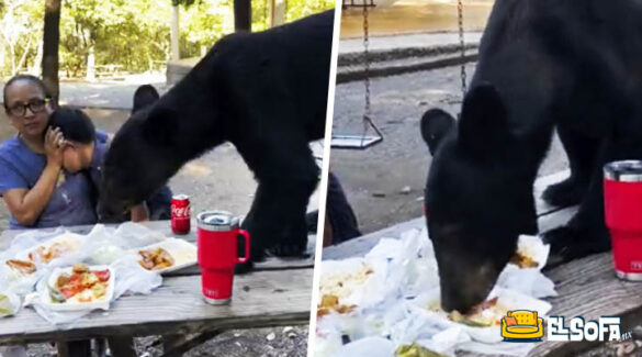 Oso sorprende a familia y come su almuerzo en Nuevo León