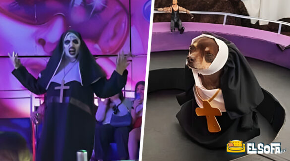 Perrito disfrazado de la 'monja de feria' se viraliza |VIDEO