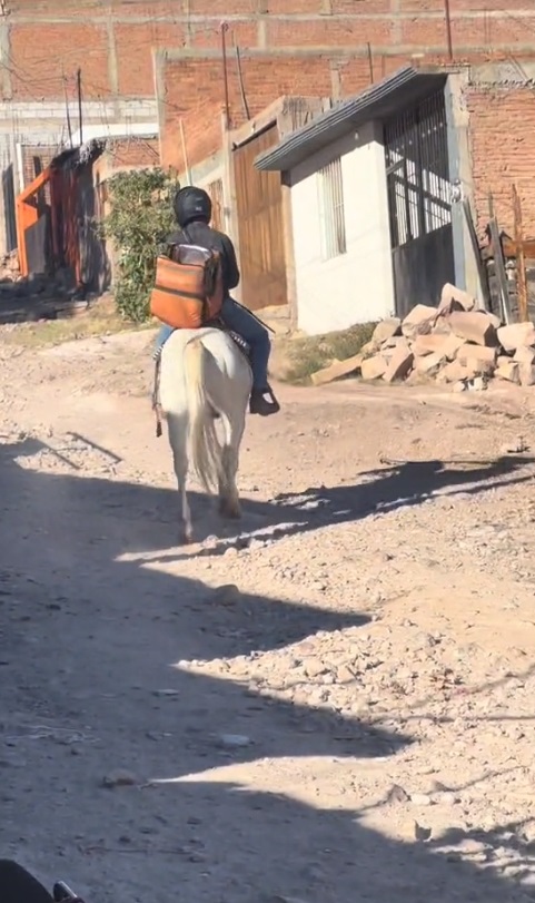 Repartidor de DiDi entrega comida usando caballo