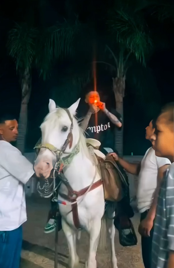 Santa Fe klan intenta trotar con caballo