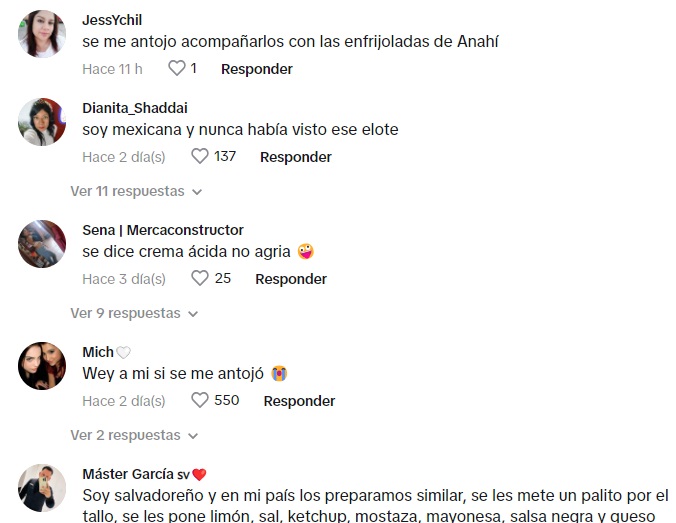 Comentarios sobre receta de Thalía