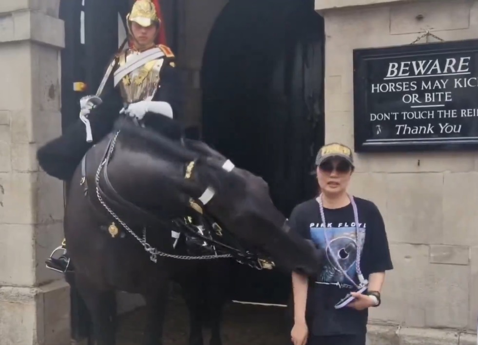 Caballo muerde a mujer en Londres