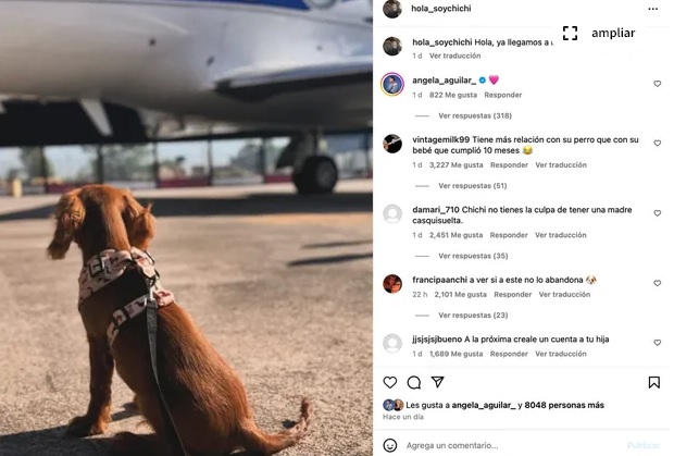 Perrhija de Nodal tiene cuenta de Instagram