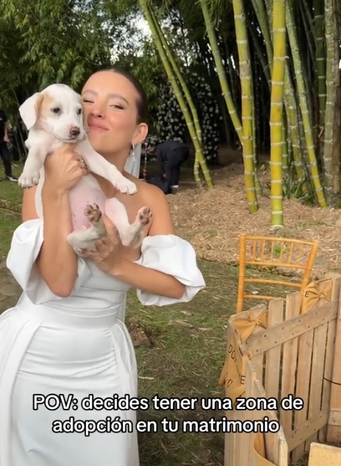 Novia usa su boda para adoptar perritos