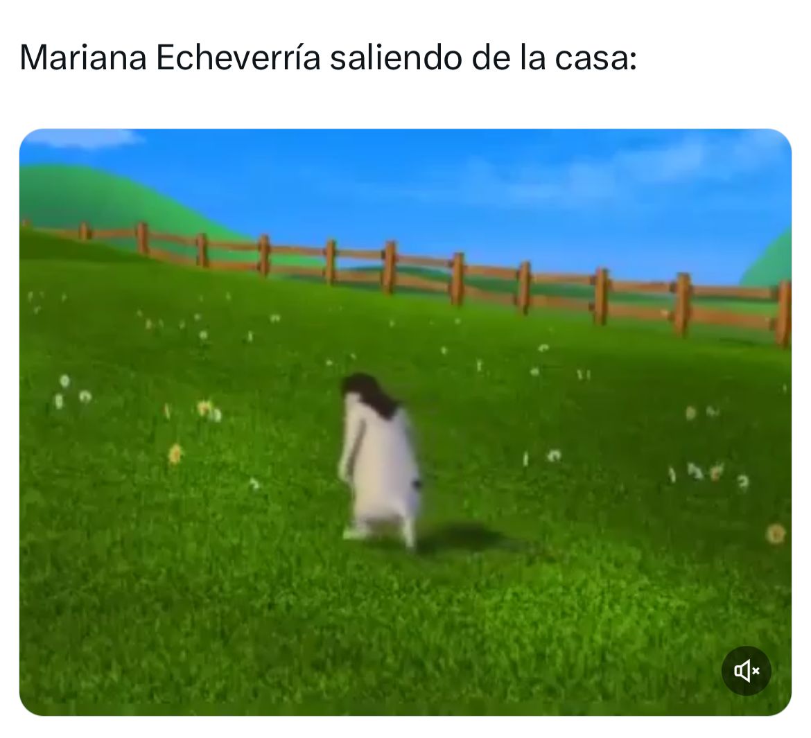 Memes sobre salida de Mariana Echeverría de LCDLF