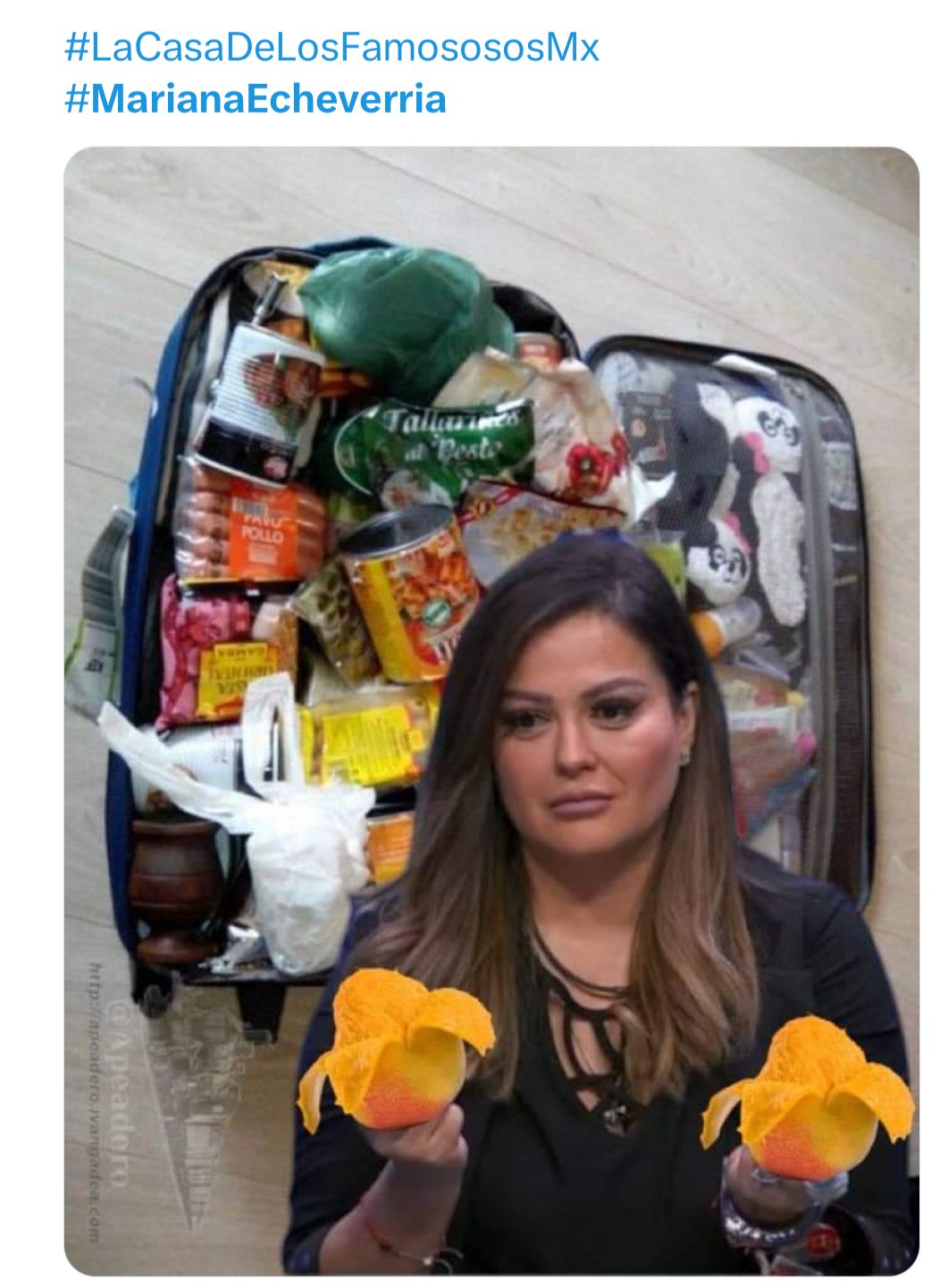 Memes sobre salida de Mariana Echeverría de LCDLF2