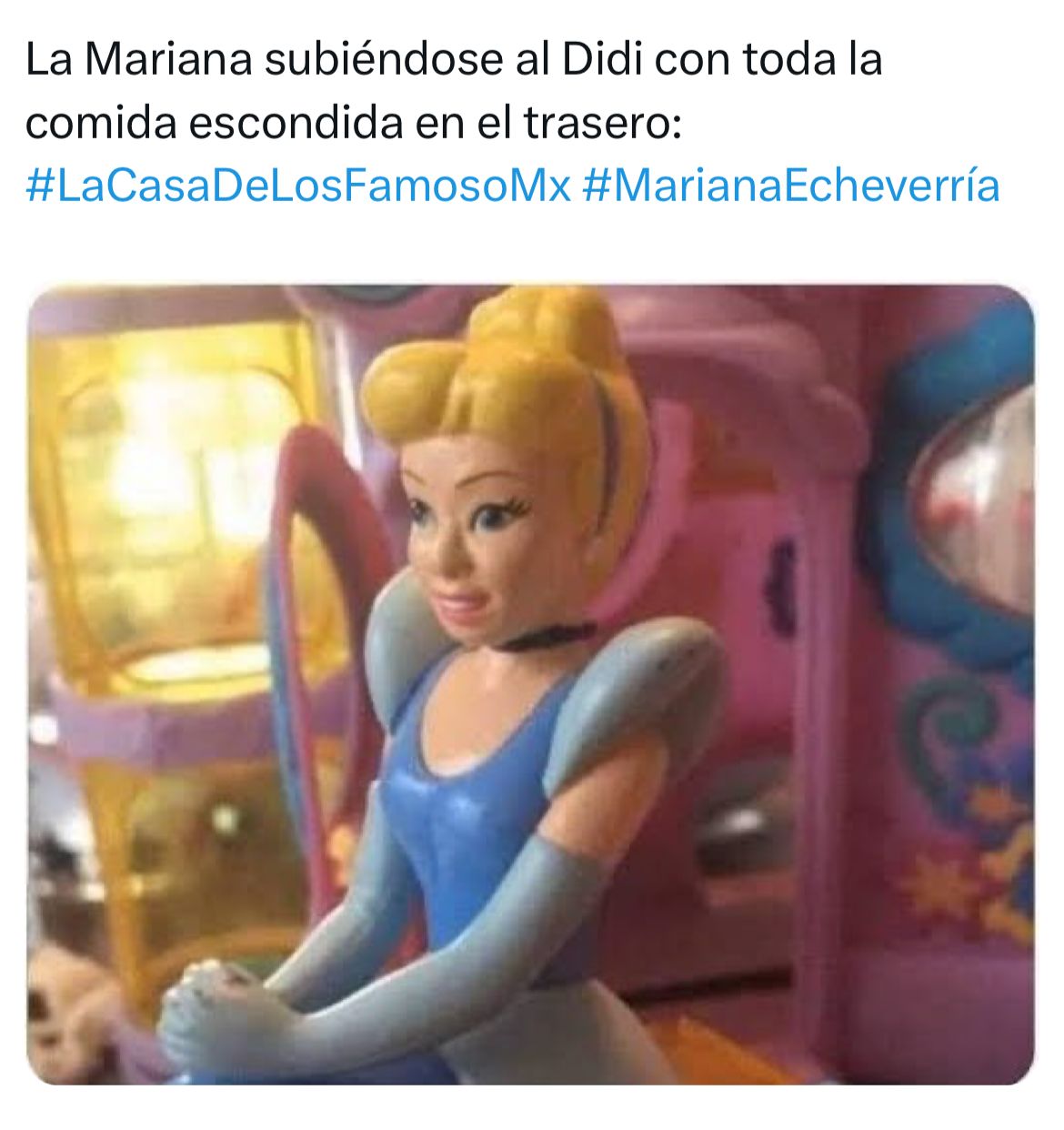 Despedida con memes de Mariana Echeverría