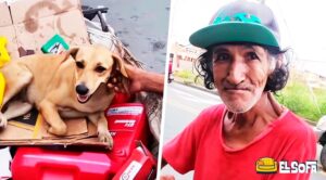 Recolector de basura se niega a vender a su perrita