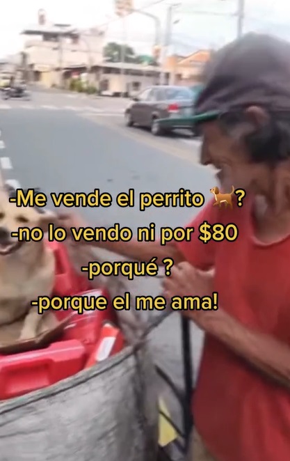 Hombre recibe propuesta para vender a su perrita