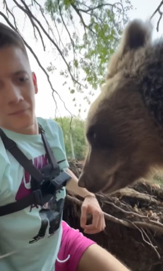 Reacciones sobre video de oso con joven