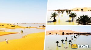 Así se ve el desierto del Sahara tras las fuertes lluvias