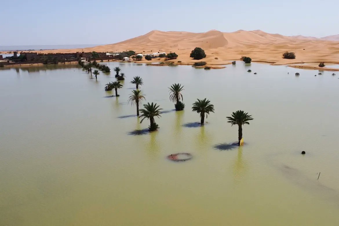 Reportan cambio en el desierto del Sahara