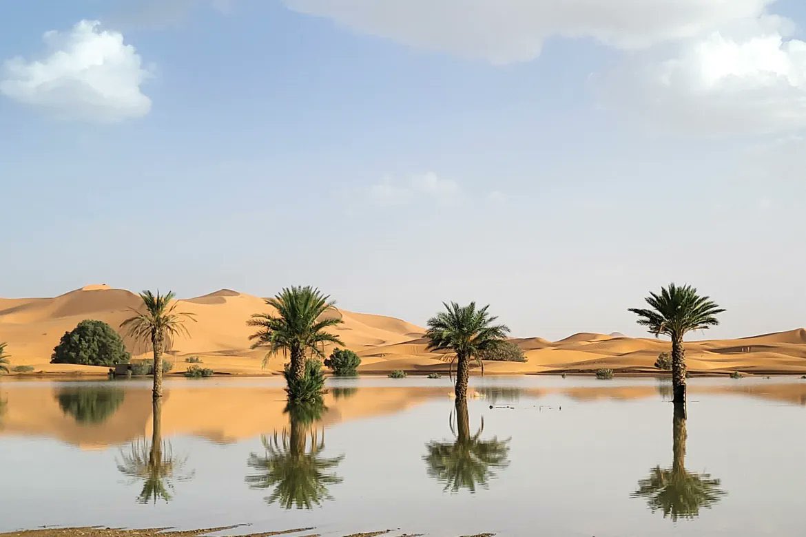 Así luce el desierto del Sahara ahora