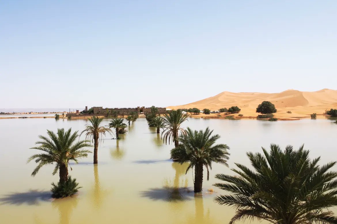 ¿Qué implica el cambio en el desierto del Sahara?