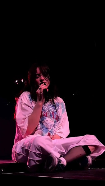 Fan golpea a Billie Eilish en pleno concierto