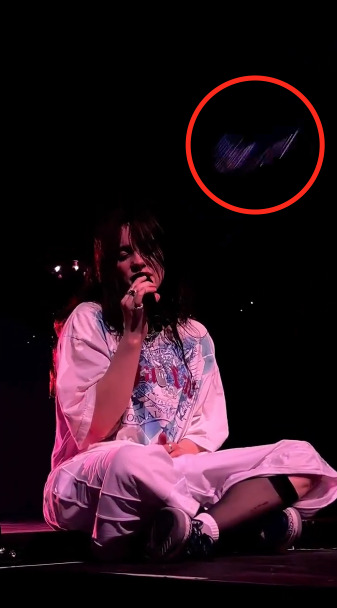 Fan golpea a Billie Eilish en pleno concierto