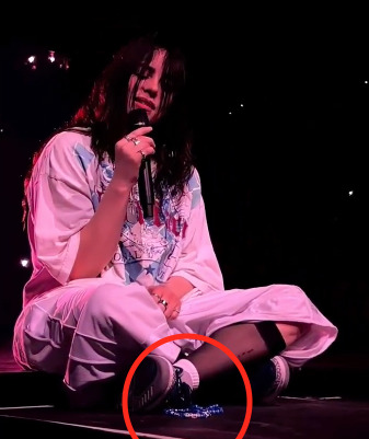 Golpean a Billie Eilish en el rostro