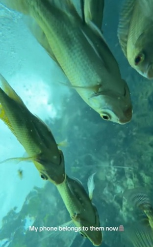 Así se ve un cenote en el fondo