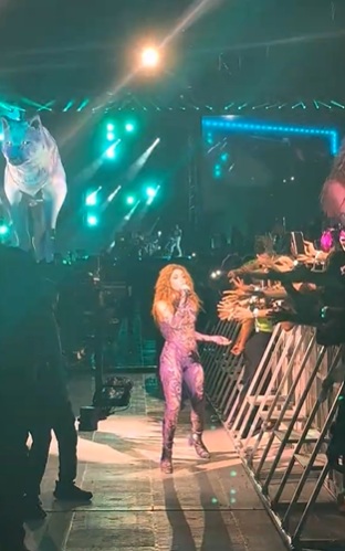 Shakira aparece cojeando en concierto