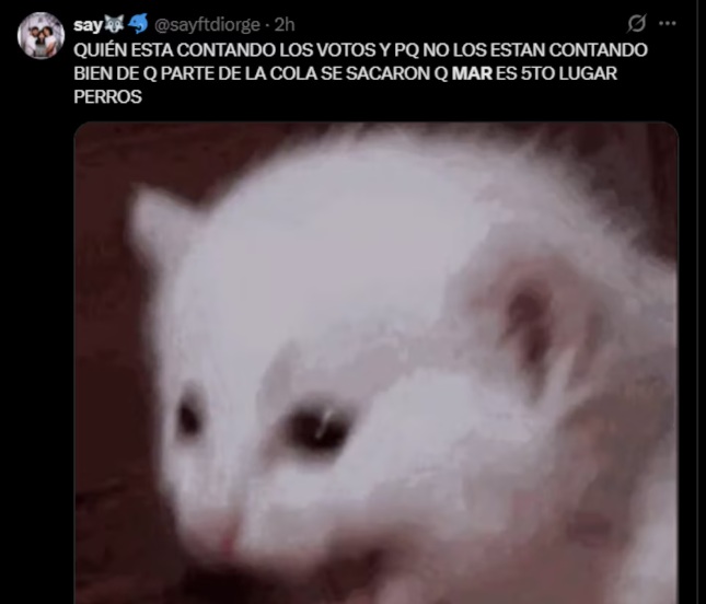 Así reaccionaron usuarios a la final de LCDLF