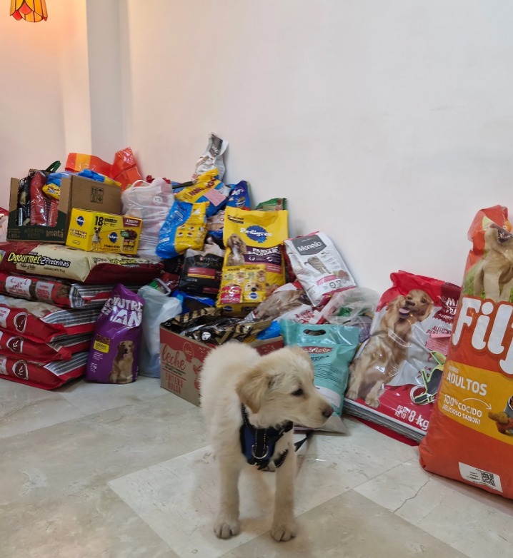 Veterinaria pide llevar croquetas a su funeral