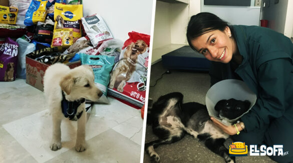 Veterinaria con cáncer pide croquetas para su funeral