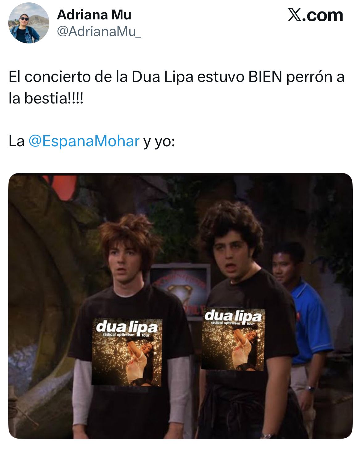 Así reaccionaron las redes al concierto de Dua Lipa